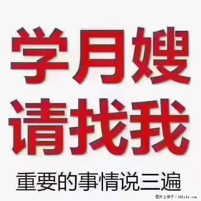 为什么要学习月嫂,育婴师? - 其他广告 - 广告专区 - 齐齐哈尔分类信息 - 齐齐哈尔28生活网 qqhr.28life.com