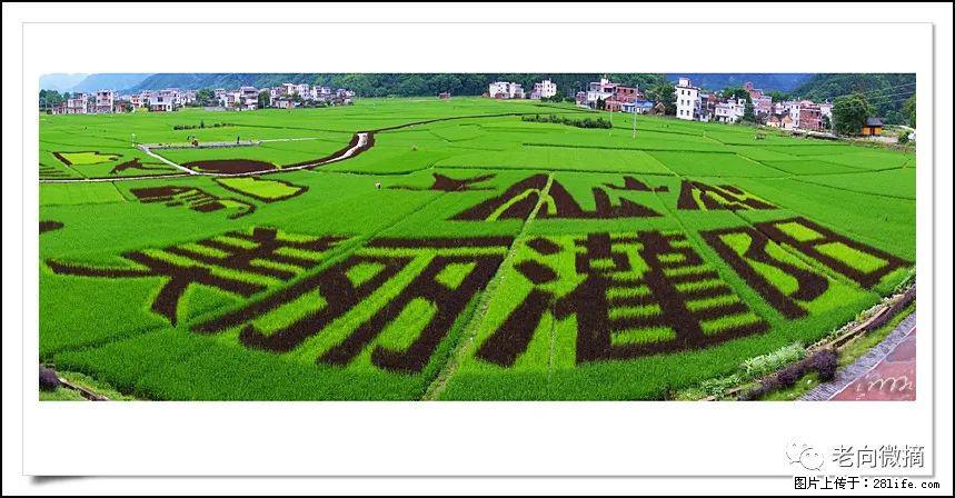 【春天,广西桂林灌阳县向您发出邀请!】开篇 - 游山玩水 - 齐齐哈尔生活社区 - 齐齐哈尔28生活网 qqhr.28life.com