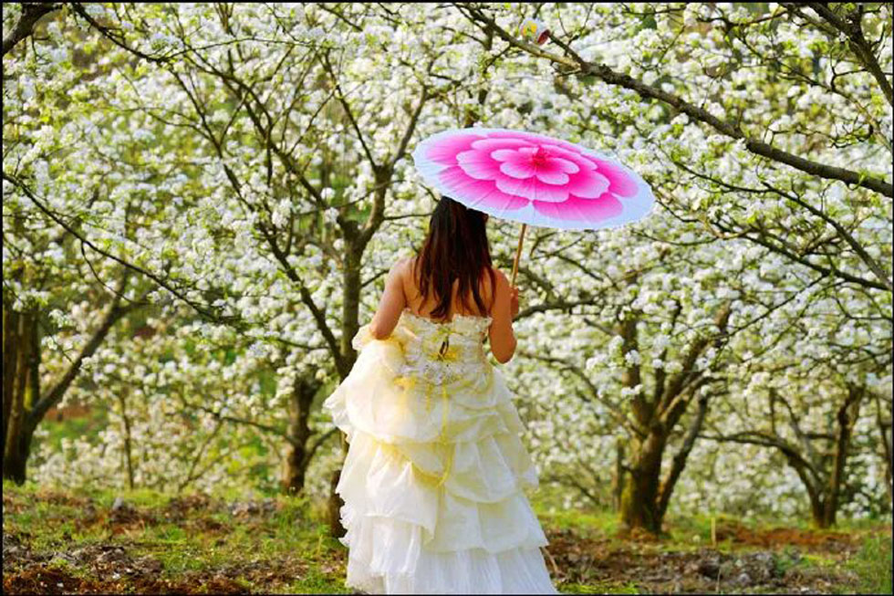 【春天,广西桂林灌阳县向您发出邀请!】我们在灌阳看梨花 - 游山玩水 - 齐齐哈尔生活社区 - 齐齐哈尔28生活网 qqhr.28life.com