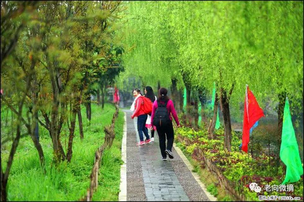 【春天,广西桂林灌阳县向您发出邀请!】江口老街又逢春 - 游山玩水 - 齐齐哈尔生活社区 - 齐齐哈尔28生活网 qqhr.28life.com