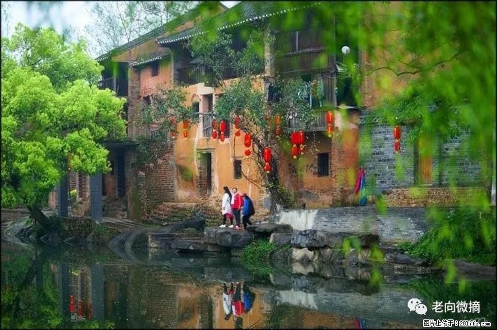 【春天,广西桂林灌阳县向您发出邀请!】江口老街又逢春 - 游山玩水 - 齐齐哈尔生活社区 - 齐齐哈尔28生活网 qqhr.28life.com