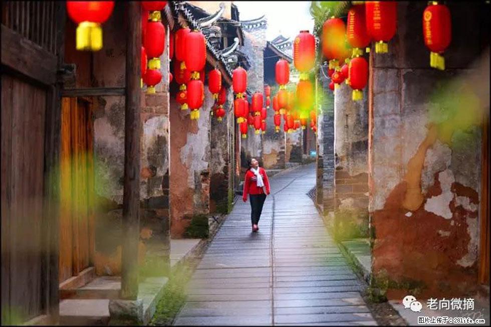 【春天,广西桂林灌阳县向您发出邀请!】江口老街又逢春 - 游山玩水 - 齐齐哈尔生活社区 - 齐齐哈尔28生活网 qqhr.28life.com