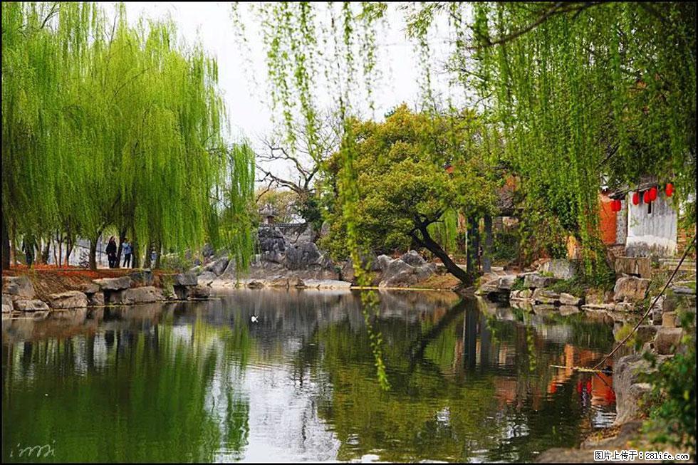 【春天,广西桂林灌阳县向您发出邀请!】江口老街又逢春 - 游山玩水 - 齐齐哈尔生活社区 - 齐齐哈尔28生活网 qqhr.28life.com