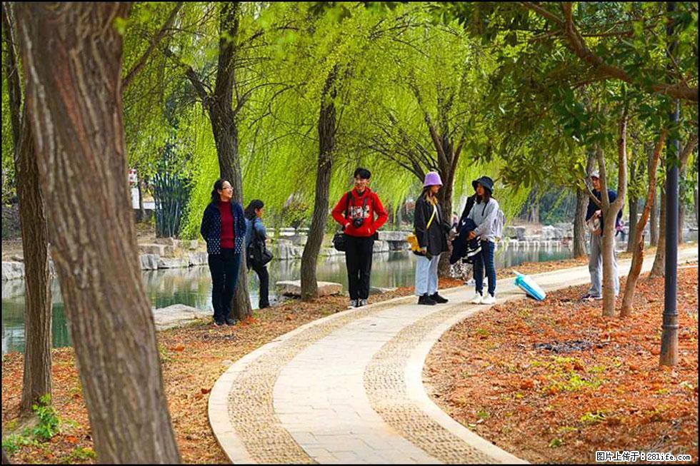 【春天,广西桂林灌阳县向您发出邀请!】江口老街又逢春 - 游山玩水 - 齐齐哈尔生活社区 - 齐齐哈尔28生活网 qqhr.28life.com