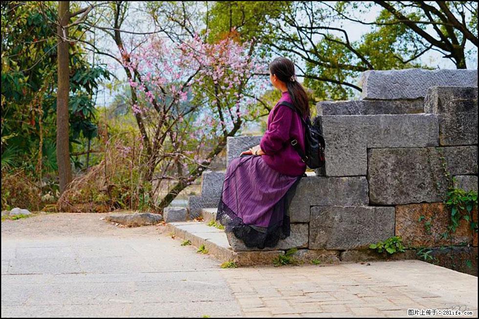 【春天,广西桂林灌阳县向您发出邀请!】江口老街又逢春 - 游山玩水 - 齐齐哈尔生活社区 - 齐齐哈尔28生活网 qqhr.28life.com