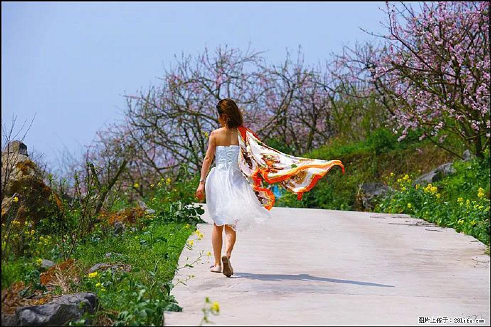 【春天,广西桂林灌阳县向您发出邀请!】望月岭上桃花开 - 游山玩水 - 齐齐哈尔生活社区 - 齐齐哈尔28生活网 qqhr.28life.com