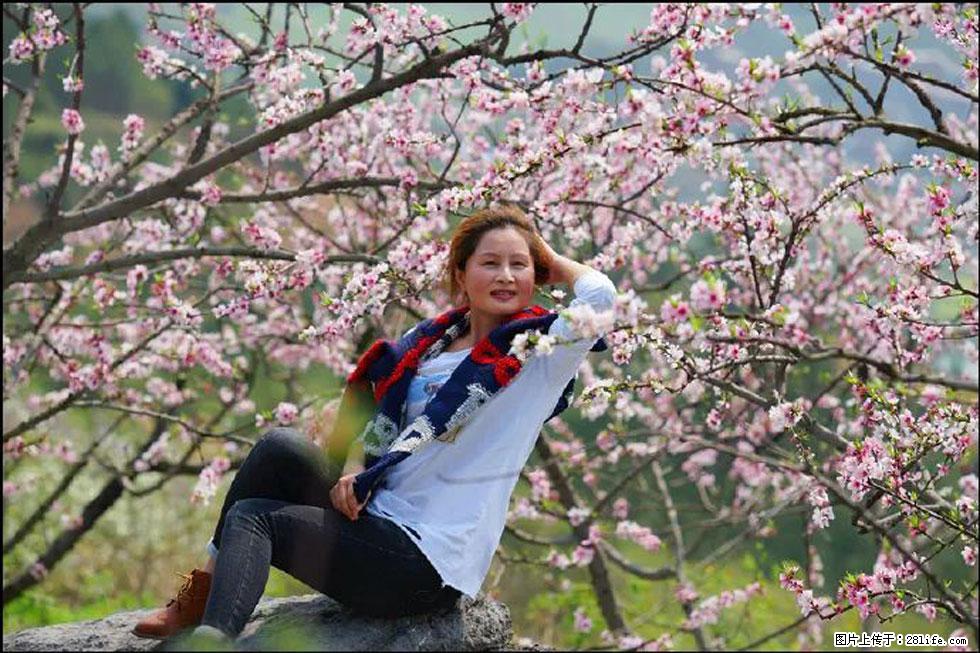 【春天,广西桂林灌阳县向您发出邀请!】望月岭上桃花开 - 游山玩水 - 齐齐哈尔生活社区 - 齐齐哈尔28生活网 qqhr.28life.com