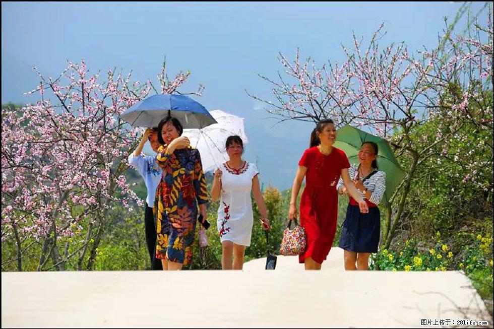 【春天,广西桂林灌阳县向您发出邀请!】望月岭上桃花开 - 游山玩水 - 齐齐哈尔生活社区 - 齐齐哈尔28生活网 qqhr.28life.com