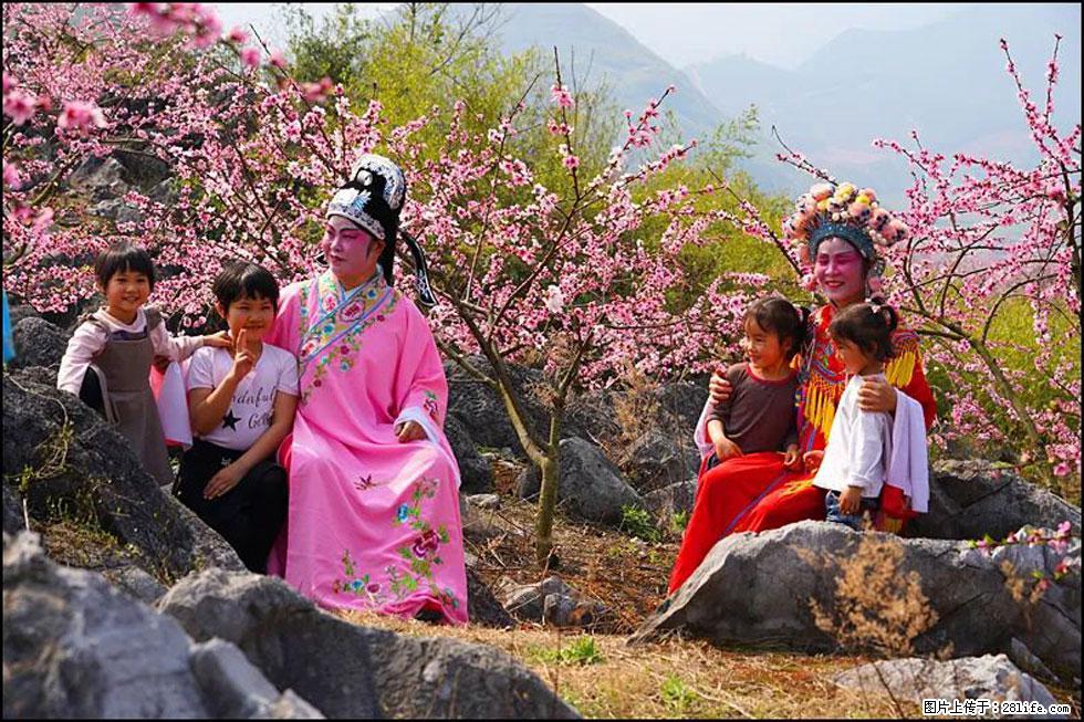 【春天,广西桂林灌阳县向您发出邀请!】望月岭上桃花开 - 游山玩水 - 齐齐哈尔生活社区 - 齐齐哈尔28生活网 qqhr.28life.com