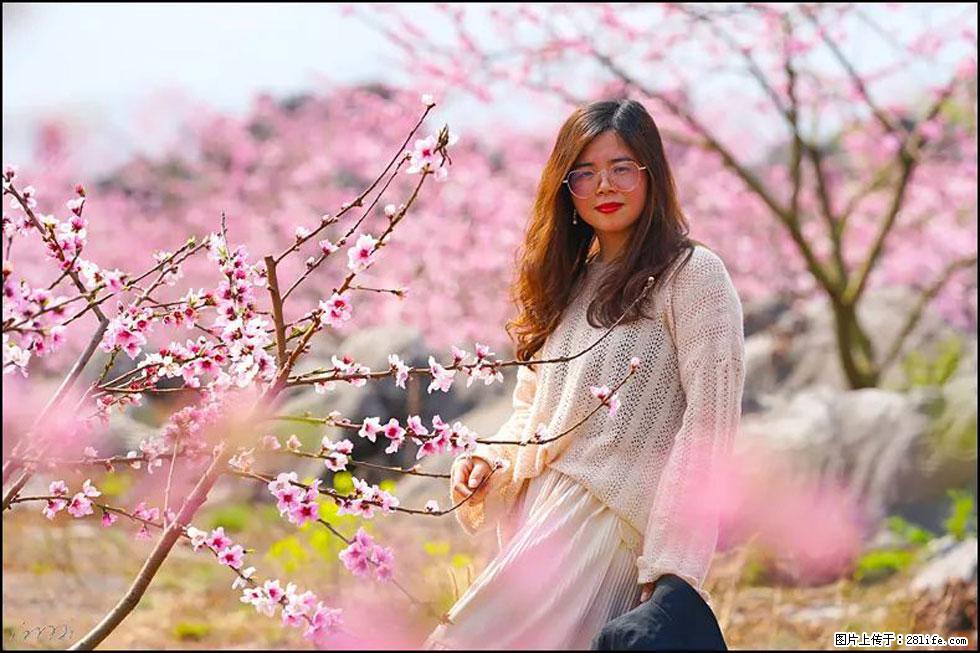 【春天,广西桂林灌阳县向您发出邀请!】望月岭上桃花开 - 游山玩水 - 齐齐哈尔生活社区 - 齐齐哈尔28生活网 qqhr.28life.com