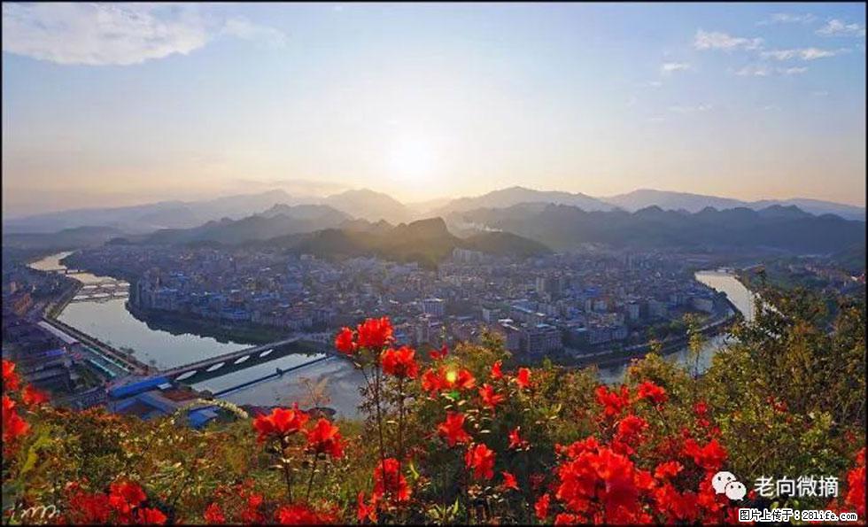 【春天,广西桂林灌阳县向您发出邀请!】登麒麟山,相约映山红 - 游山玩水 - 齐齐哈尔生活社区 - 齐齐哈尔28生活网 qqhr.28life.com