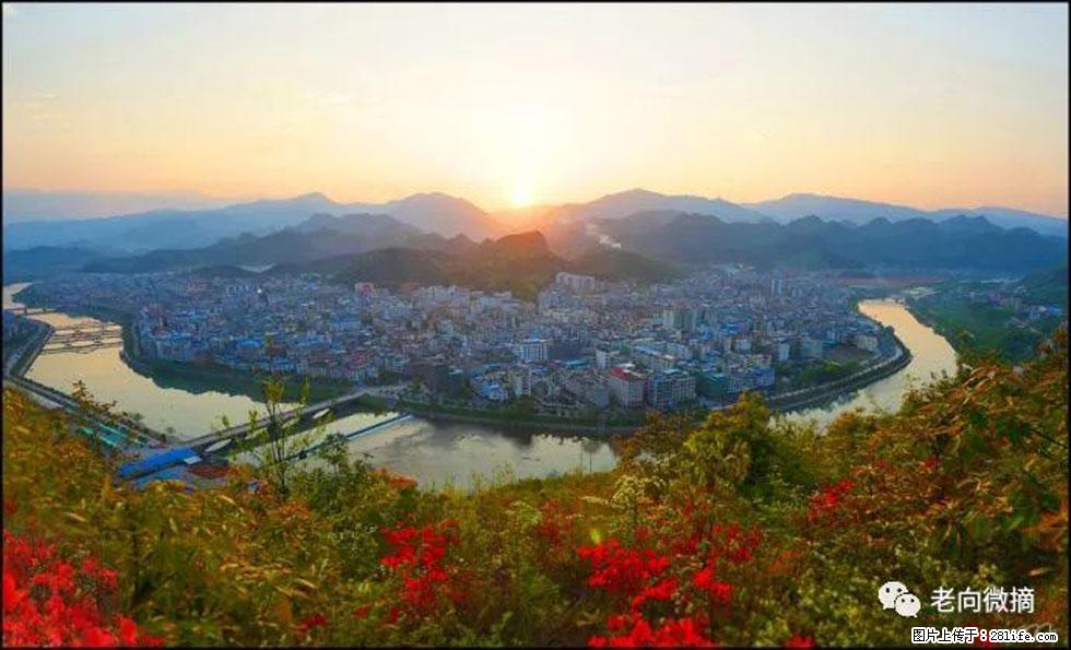 【春天,广西桂林灌阳县向您发出邀请!】登麒麟山,相约映山红 - 游山玩水 - 齐齐哈尔生活社区 - 齐齐哈尔28生活网 qqhr.28life.com