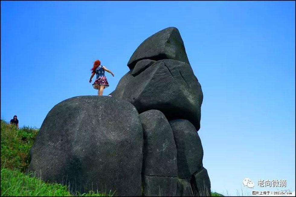 【春天,广西桂林灌阳县向您发出邀请!】宝盖山上映山红 - 游山玩水 - 齐齐哈尔生活社区 - 齐齐哈尔28生活网 qqhr.28life.com