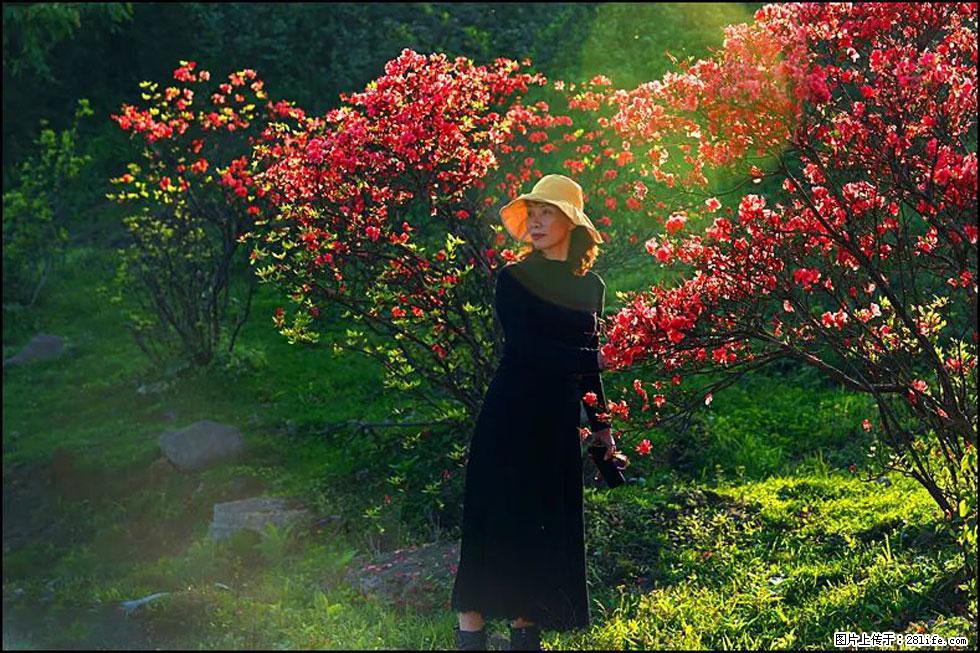 【春天,广西桂林灌阳县向您发出邀请!】春木界上映山红 - 游山玩水 - 齐齐哈尔生活社区 - 齐齐哈尔28生活网 qqhr.28life.com