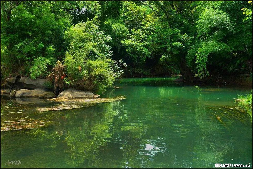 【春天,广西桂林灌阳县向您发出邀请!】如梦似幻莲溪庐 - 游山玩水 - 齐齐哈尔生活社区 - 齐齐哈尔28生活网 qqhr.28life.com