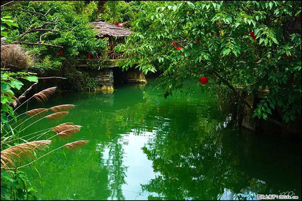 【春天,广西桂林灌阳县向您发出邀请!】如梦似幻莲溪庐 - 游山玩水 - 齐齐哈尔生活社区 - 齐齐哈尔28生活网 qqhr.28life.com