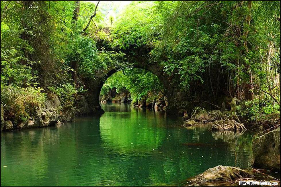 【春天,广西桂林灌阳县向您发出邀请!】如梦似幻莲溪庐 - 游山玩水 - 齐齐哈尔生活社区 - 齐齐哈尔28生活网 qqhr.28life.com