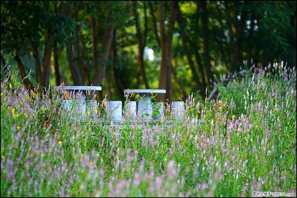 【春天，广西桂林灌阳县向您发出邀请！】熊家寨湿地公园 - 游山玩水 - 齐齐哈尔生活社区 - 齐齐哈尔28生活网 qqhr.28life.com