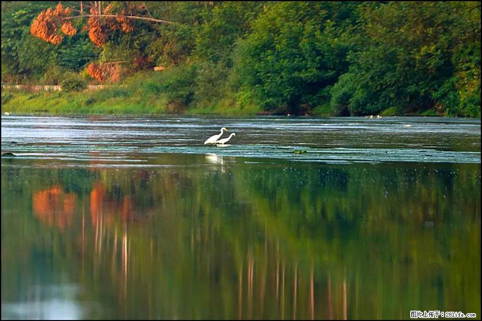 【春天，广西桂林灌阳县向您发出邀请！】熊家寨湿地公园 - 游山玩水 - 齐齐哈尔生活社区 - 齐齐哈尔28生活网 qqhr.28life.com