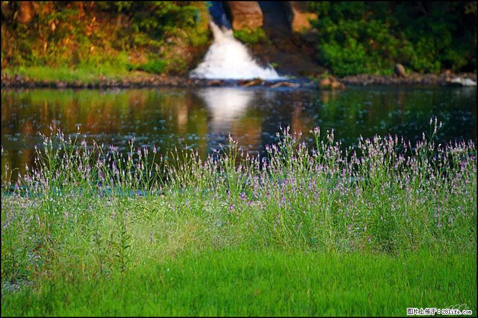 【春天，广西桂林灌阳县向您发出邀请！】熊家寨湿地公园 - 游山玩水 - 齐齐哈尔生活社区 - 齐齐哈尔28生活网 qqhr.28life.com