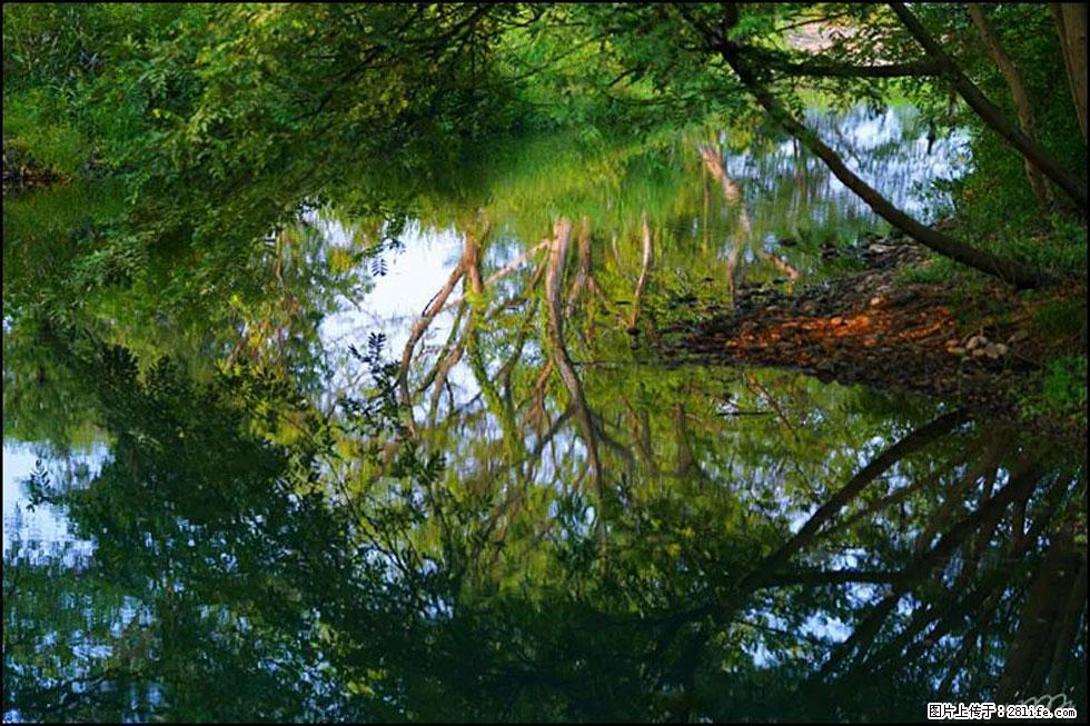 【春天，广西桂林灌阳县向您发出邀请！】熊家寨湿地公园 - 游山玩水 - 齐齐哈尔生活社区 - 齐齐哈尔28生活网 qqhr.28life.com