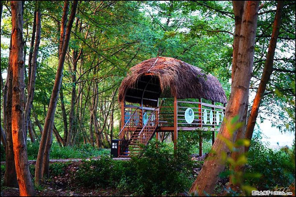 【春天，广西桂林灌阳县向您发出邀请！】熊家寨湿地公园 - 游山玩水 - 齐齐哈尔生活社区 - 齐齐哈尔28生活网 qqhr.28life.com