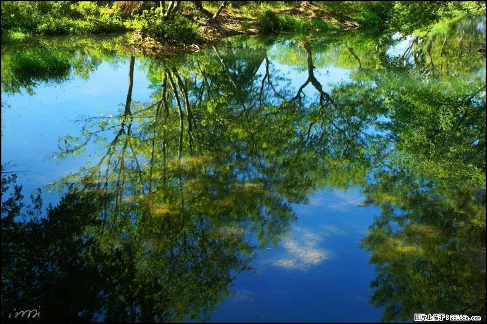 【春天，广西桂林灌阳县向您发出邀请！】熊家寨湿地公园 - 游山玩水 - 齐齐哈尔生活社区 - 齐齐哈尔28生活网 qqhr.28life.com