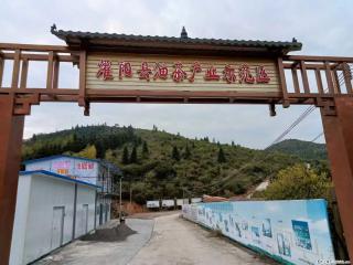 【灌阳县油茶产业示范区】一个有着充实的精神生活的人，对待身外之物自会有一种淡泊的态度 - 齐齐哈尔28生活网 qqhr.28life.com