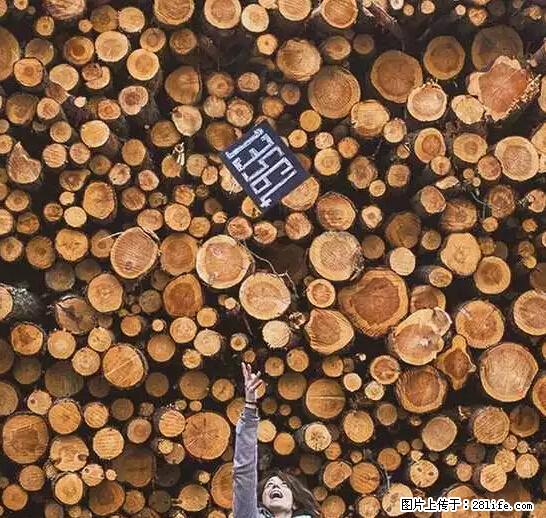 辞掉工作周游世界？现在他们在洗厕所…… - 游山玩水 - 齐齐哈尔生活社区 - 齐齐哈尔28生活网 qqhr.28life.com