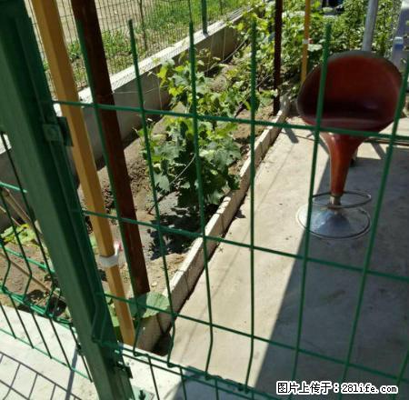 远诚地产南铁道谊联名居一楼南北通透带小院商用居住均可 - 房屋出租 - 房屋租售 - 齐齐哈尔分类信息 - 齐齐哈尔28生活网 qqhr.28life.com