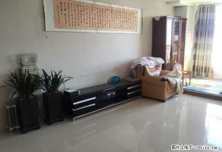 远诚地产中环大商新玛特一居室可办公交通便利免费登记房源 - 齐齐哈尔28生活网 qqhr.28life.com