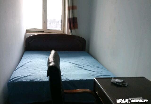 (单间出租)五福小区 3室1厅1卫 男女不限 - 房屋出租 - 房屋租售 - 齐齐哈尔分类信息 - 齐齐哈尔28生活网 qqhr.28life.com