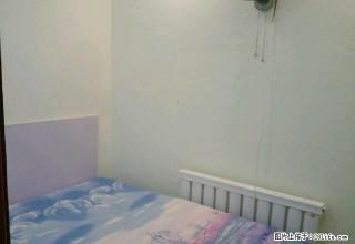 (单间出租)龙沙小区 4室1厅4卫 男女不限 - 齐齐哈尔28生活网 qqhr.28life.com