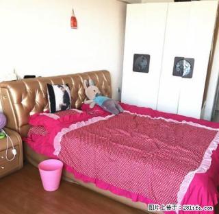 鑫源地产商城国际精装超大一居可月付，真实图片设施齐全 - 齐齐哈尔28生活网 qqhr.28life.com