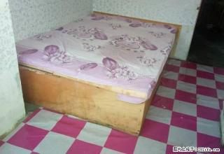 (单间出租)单间出租。中环广场附近。迈特后身儿。 - 齐齐哈尔28生活网 qqhr.28life.com