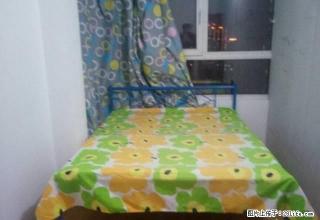 (单间出租)单间出租。万达西侧。 - 齐齐哈尔28生活网 qqhr.28life.com