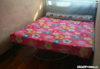 (单间出租)中环广场。迈特后身。单间出租。 - 齐齐哈尔28生活网 qqhr.28life.com