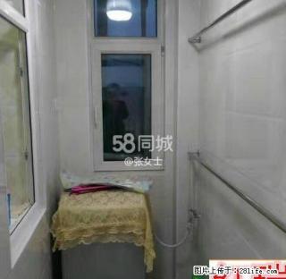 红瑞地产滨江国际温馨一居室精装修图片真实屋子嘎嘎板正拎包即住 - 齐齐哈尔28生活网 qqhr.28life.com