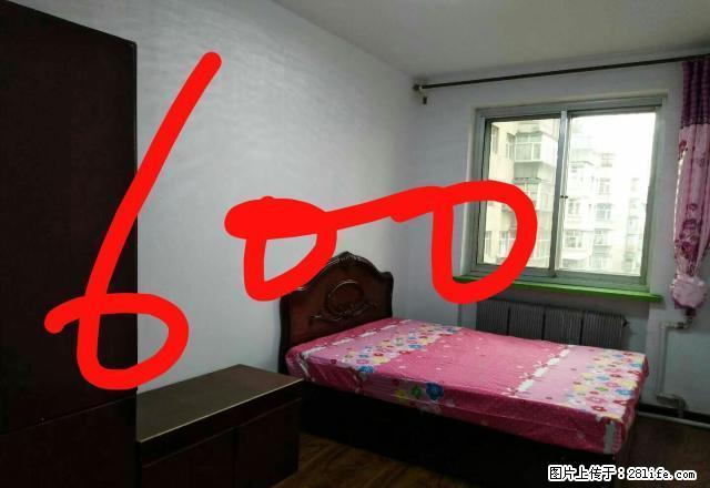 (单间出租)龙沙小区 3室1厅1卫 男女不限 - 房屋出租 - 房屋租售 - 齐齐哈尔分类信息 - 齐齐哈尔28生活网 qqhr.28life.com