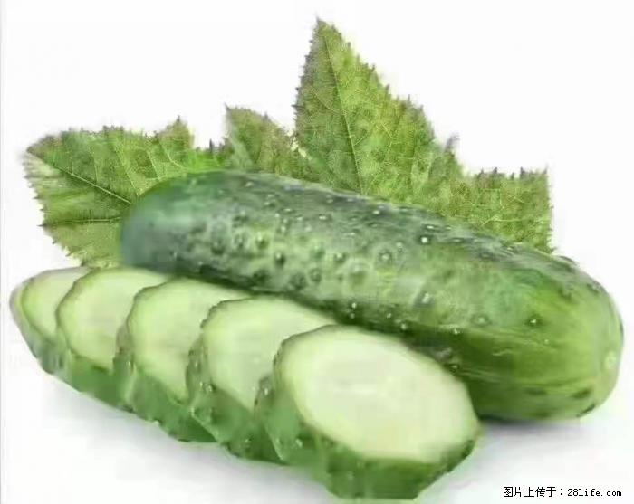 【生活小常识】吃黄瓜的好处 - 生活百科 - 齐齐哈尔生活社区 - 齐齐哈尔28生活网 qqhr.28life.com