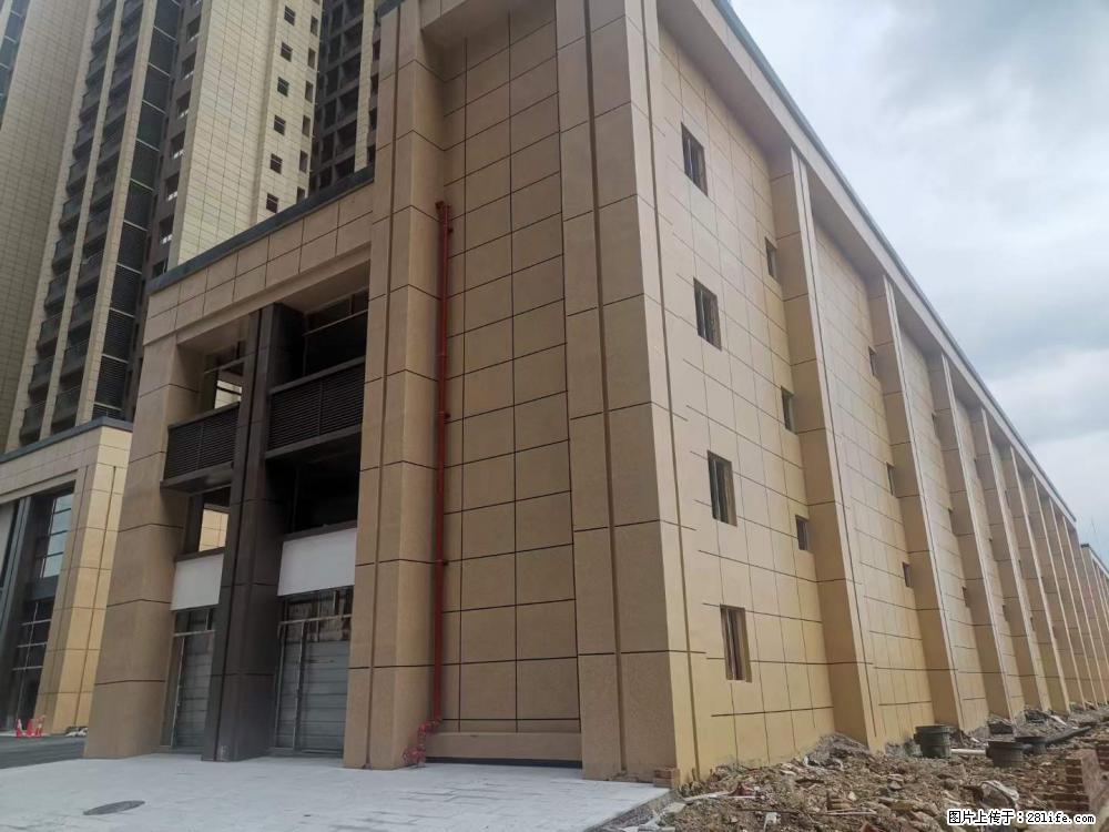 【广西三象建筑安装工程有限公司】外墙涂料工程 - 新手上路 - 齐齐哈尔生活社区 - 齐齐哈尔28生活网 qqhr.28life.com