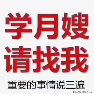 【招聘】月嫂，上海徐汇区 - 齐齐哈尔28生活网 qqhr.28life.com