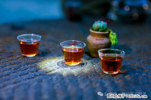 时间果百年古树2025年春红茶 - 购物交流 - 齐齐哈尔生活社区 - 齐齐哈尔28生活网 qqhr.28life.com