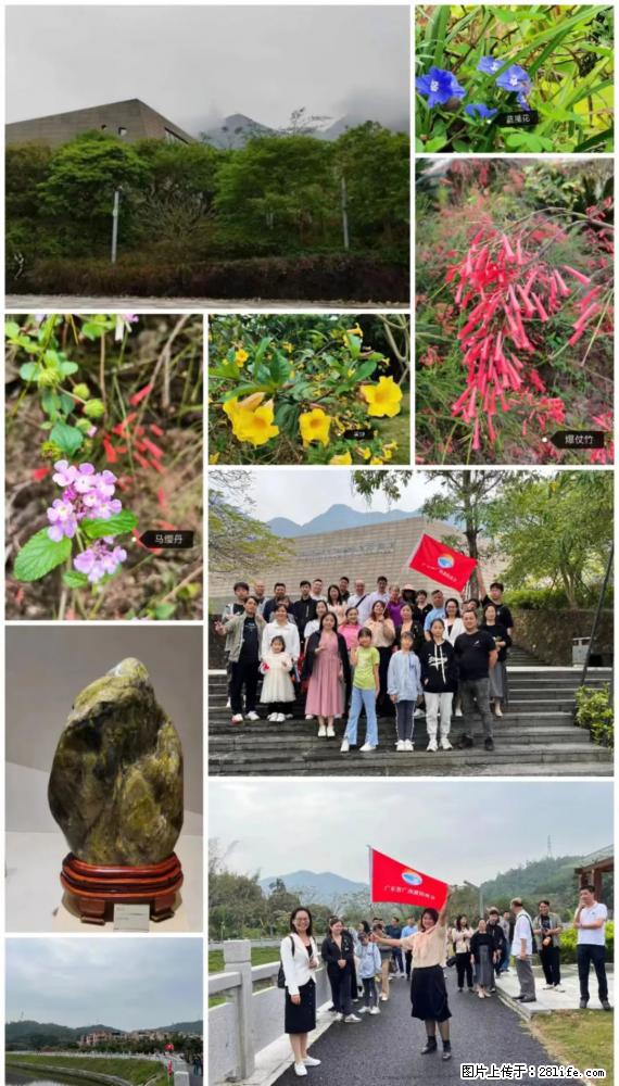 “粤灌文化 美好生活”油茶文化主题活动在广东深圳成功举办 - 齐齐哈尔生活资讯 - 齐齐哈尔28生活网 qqhr.28life.com