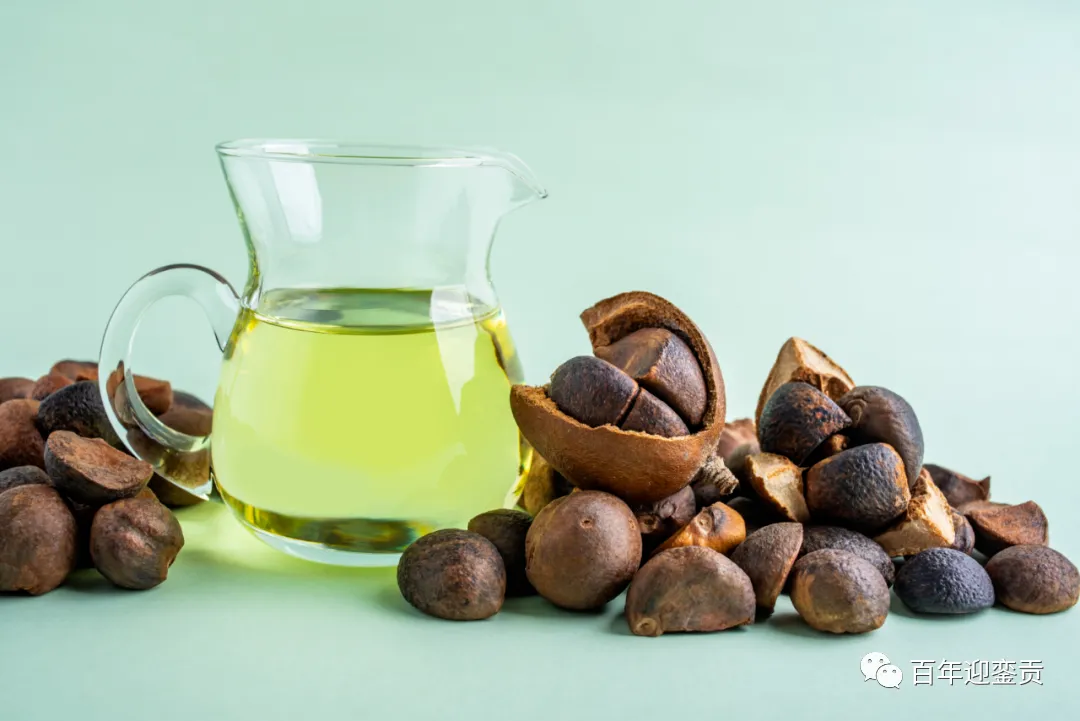 世界没有真相,只有认知,最好的食用油是中国的山茶油! - 齐齐哈尔生活资讯 - 齐齐哈尔28生活网 qqhr.28life.com