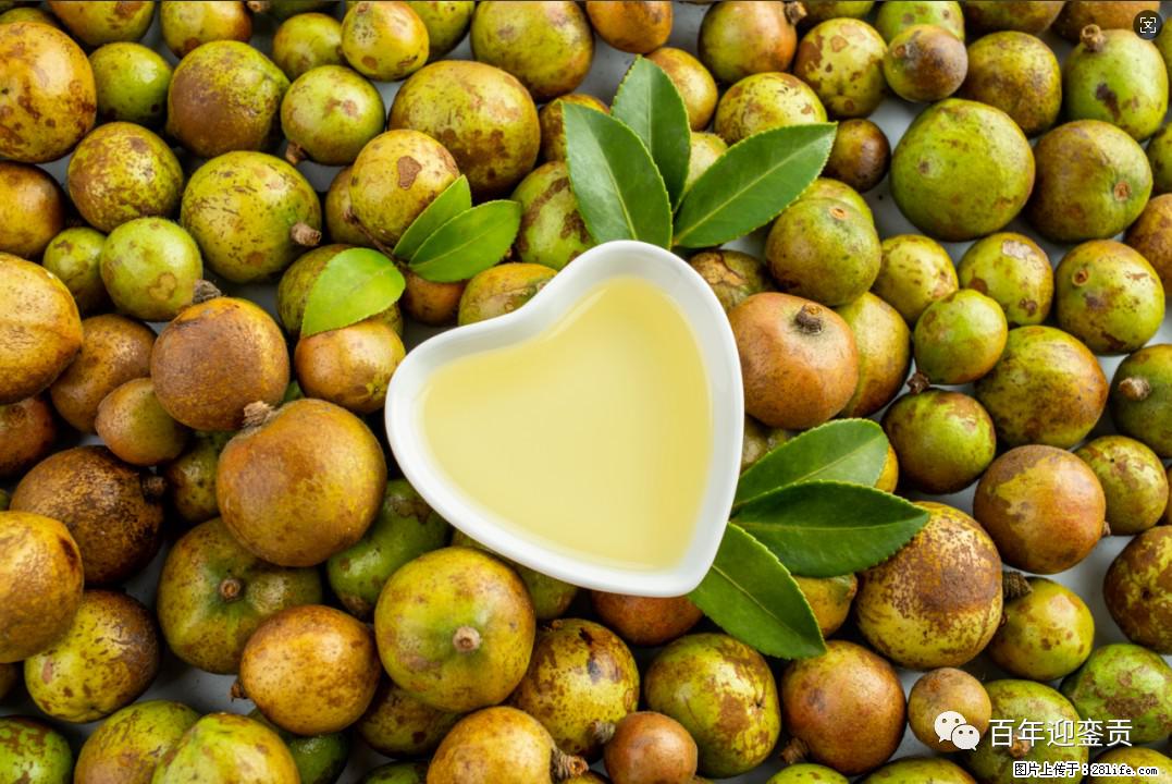 世界没有真相,只有认知,最好的食用油是中国的山茶油! - 齐齐哈尔生活资讯 - 齐齐哈尔28生活网 qqhr.28life.com