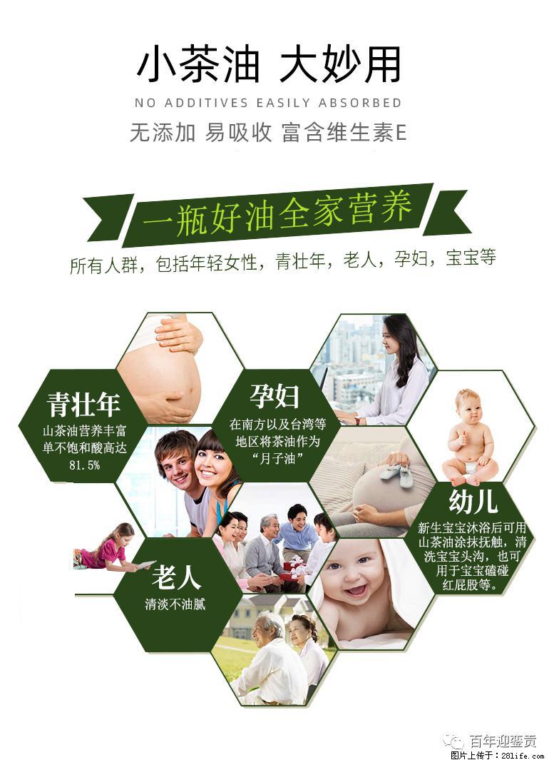 世界没有真相,只有认知,最好的食用油是中国的山茶油! - 齐齐哈尔生活资讯 - 齐齐哈尔28生活网 qqhr.28life.com