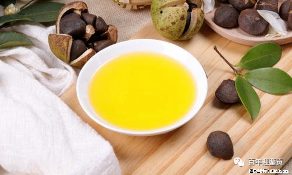 世界没有真相,只有认知,最好的食用油是中国的山茶油! - 齐齐哈尔生活资讯 - 齐齐哈尔28生活网 qqhr.28life.com