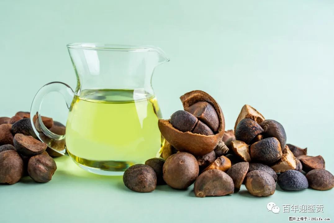 世界没有真相，只有认知，最好的食用油是中国的山茶油！ - 齐齐哈尔生活资讯 - 齐齐哈尔28生活网 qqhr.28life.com
