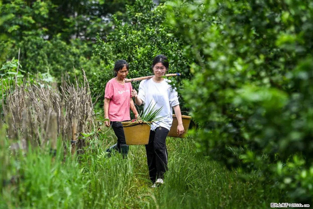 全网追的“扁担女孩”,找了一份暑假工,时薪12元 - 齐齐哈尔生活资讯 - 齐齐哈尔28生活网 qqhr.28life.com